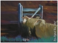 Ron-Bryant-Sheep-Yard54742c7429708