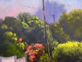 The_Garden
