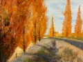 thumbs_Dubbo-in-Autumn-Pastel